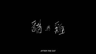 【高雄拍】《貓與雞》After the Cat｜2024 高雄電影節