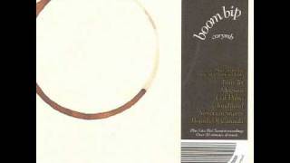 Boom Bip "Pulse All Over" (Peel Session Version)