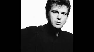Peter Gabriel ~ 07 Walk Through The Fire