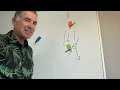 Sailboat Racing Tips Downwind Wind Shadows Explained