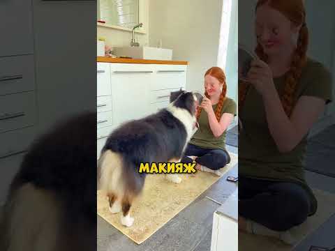 Собака ГЕНИЙ!❤️ #собака #рисунок  #человек