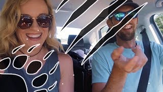 We Can't BEAR it if You DON'T Watch This