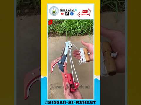 High Reach Telescopic Tree Pruner | Tree Pole Pruner Tool | Tree Pole Pruner Outdoor