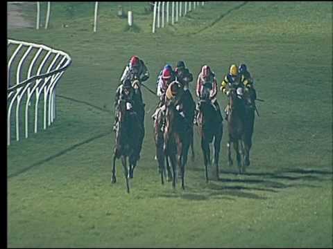 Galoppo 21/02/2017 - 6ª corsa - TRIS