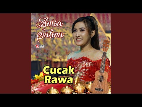 Cucak Rawa