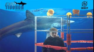 DIA 2 Expo Tiburon193