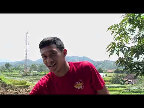 KEMBANG API KUPU TERBANG - 1 BUNGKUS ISI 12 PCS