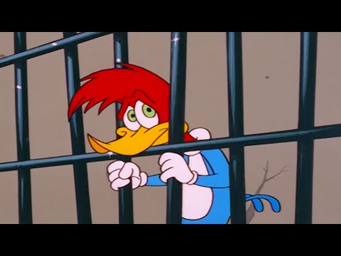 Woody Gets Sent to Jail! | Woody Woodpecker