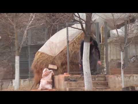 Gospodăria lui Ghilaş  la Mălăeşti