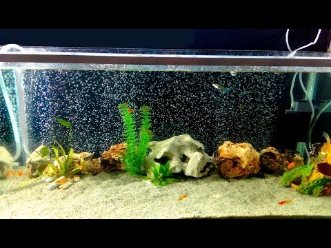 How to make Aquarium Bubble Wall used hose Pipe very fast / DIY