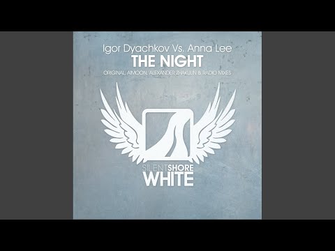 The Night (Original Mix)