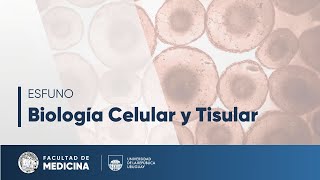 Excitabilidad (Parte 3) - Biología Celular y Tisular