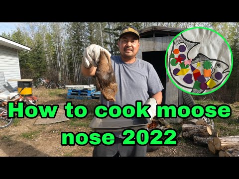 How to cook moose nose 2022