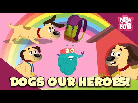 Dogs Smelling Powers - The Dr. Binocs Show | Best Learning Videos For Kids | Peekaboo Kidz