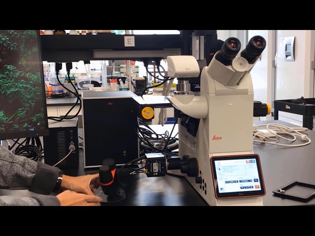 Inverted Microscope for Industrial Applications Leica DMi8