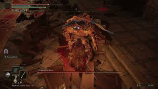 Elden Ring PC Elemer of the Briar 鉄茨のエレメール 攻略 パリィ 2022 0514 2122