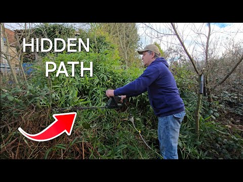 Bramble Battle: My Abandoned Garden!