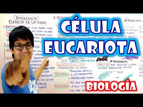 [ BIOLOGÍA FREE ] - CELULA EUCARIOTA | Citología 🌿👉😍