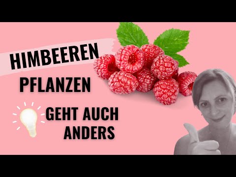 Der Naschgarten / Himbeeren pflanzen - geht auch anders