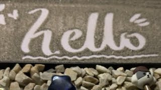 Writing subscribers name ✨ #live #foryou