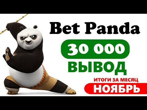 BetPanda итоги за ноябрь / статистика, обмен баллов и вывод 30 000 рублей!