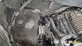 Ford Transit minibuss varebil | Bilde 5 - Autoline