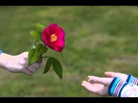 A Porta 05 perdão Julio Cesar