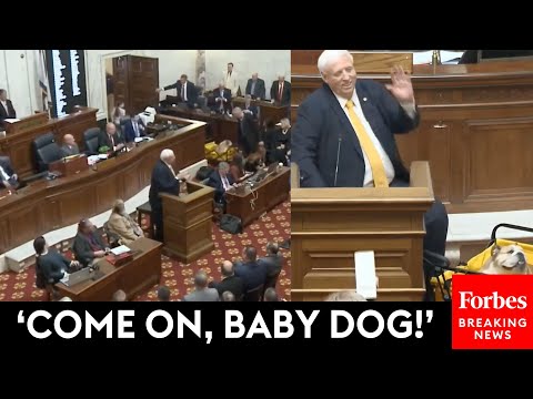 Jim Justice Brings The Beloved Babydog For His Farewell Address To West Virginia Legislature