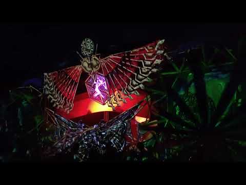 flossy waves live @camakavum festival 2022