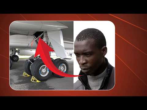 Stowaway Inside Plane , How He Survived