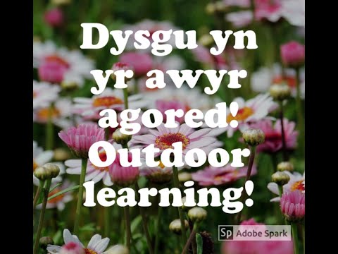 Dosbarth yn yr awyr agored.