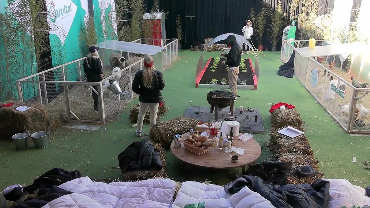 Romeo i reciton pulave, Ilnisa dhe Meritoni ushqejnë dhitë