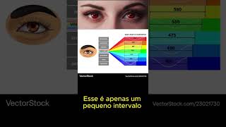 Espectro de Luz Visível #sol #luzvisível #expansãodaconsciência