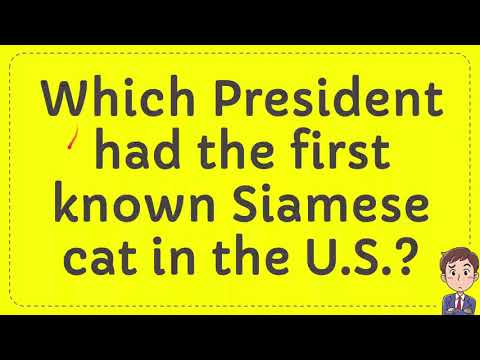 Which President had the first known Siamese cat in the U S ?