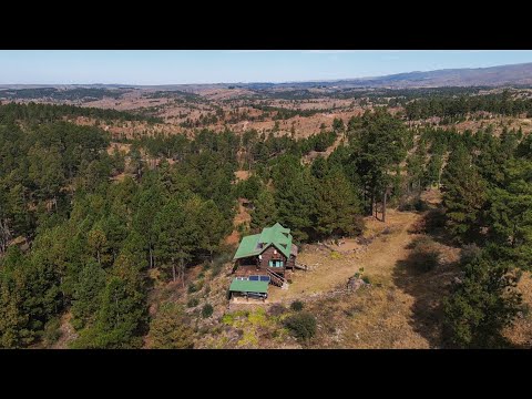 Dejaron Buenos Aires para vivir como ermitaños en el medio del bosque | Villa Alpina, Córdoba