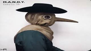 fabric 38 - M.A.N.D.Y. (2008)