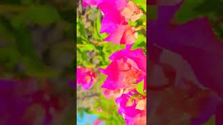 Download lagu zindgi ko gujarne ke liye mp3 Download lagu zindgi ko gujarne ke liye mp3