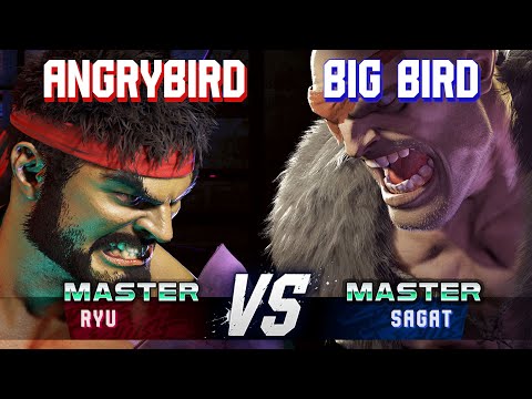SF6 ▰ ANGRYBIRD (Ryu) vs BIG BIRD (Sagat) ▰ High Level Gameplay