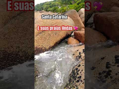 Imbituba Santa Catarina.💖✅❌ #comente #praia #escrevese #natureza #escrevam #plantas #mar