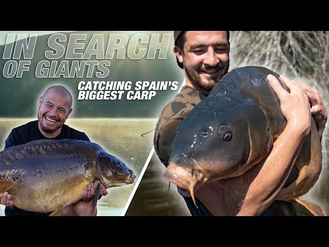 Catching Spain’s Biggest Carp - In Search of Giants - Samir Arebi and Henry Lennon