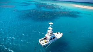 Great Northern: The Experience trailer