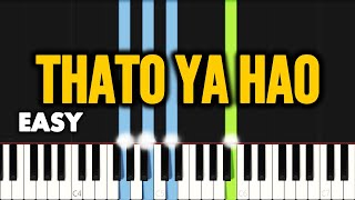 Lebo Sekgobela - Thato Ya Hao | EASY PIANO TUTORIAL by SAPiano