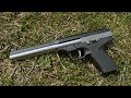 Accelerator Pistol 17HMR review