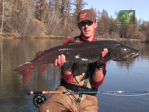 Lov i ribolov - Mongolija - Reka Ur