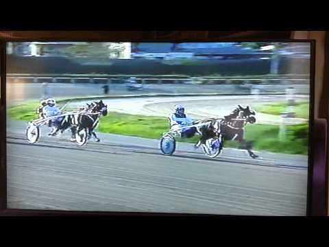 Minitrotter Mr Naglo continua a vincere