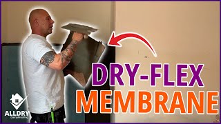 Preview of How To Apply Dry-Flex Membrane! A Day In The Life of a Damp Proofer!.