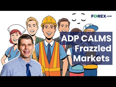 Solid ADP Employment Calms Frazzled Markets | Daily Market Update, November 5 2025