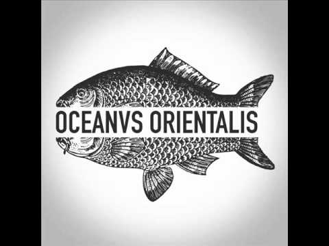 Oceanvs Orientalis - White Ocean - Burning Man 2015