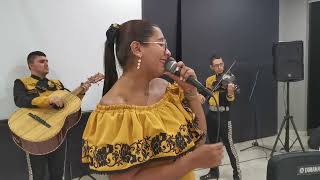 Video de Mariachi Mi Tierra