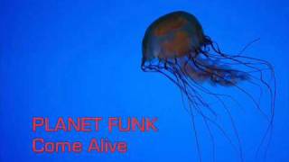 Planet Funk ~ Come Alive